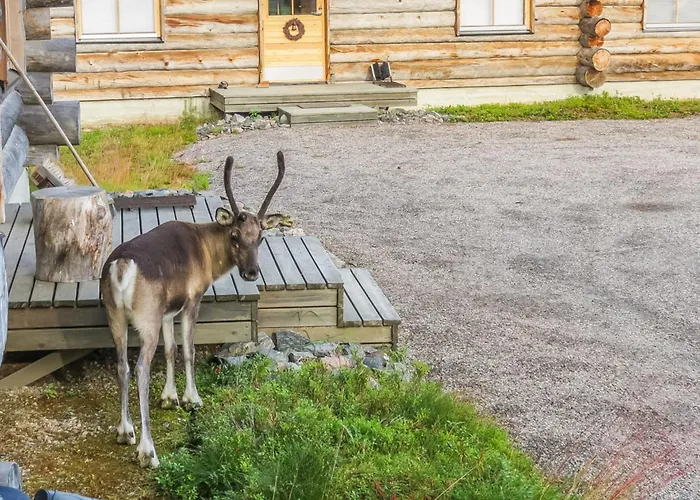 Teerentie - Fun - Dasher By Interhome